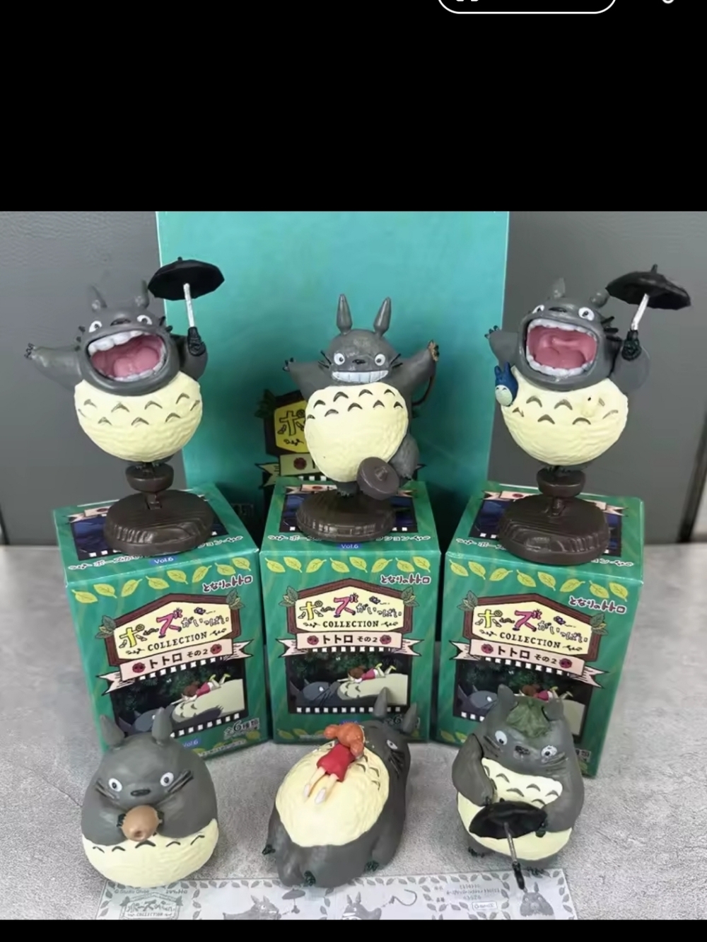 Totoro Mystery Box